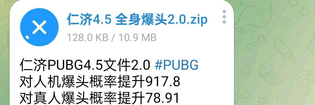 仁济PUBG4.5文件2.0 图1