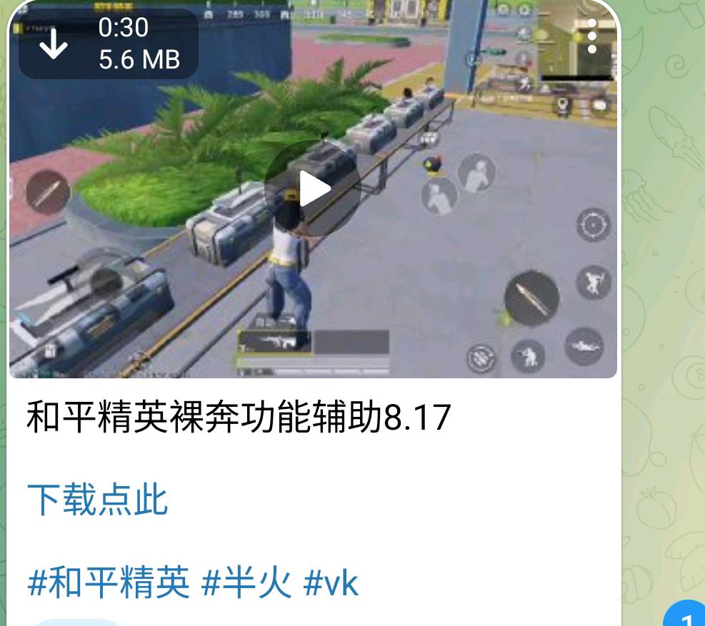 和平精英裸奔功能辅助8.17 图1