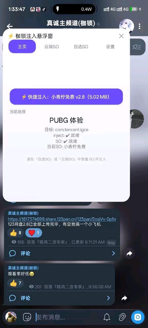 枷锁国体注入1.7.5 图1