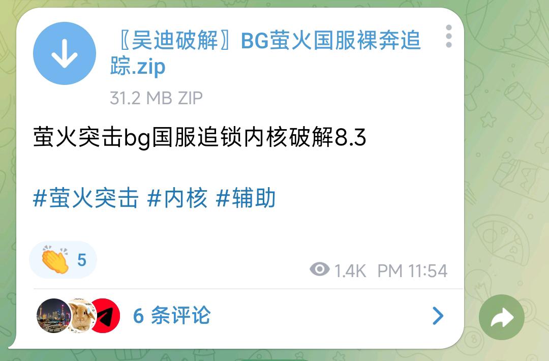 萤火突击bg国服追锁内核破解8.3 图1