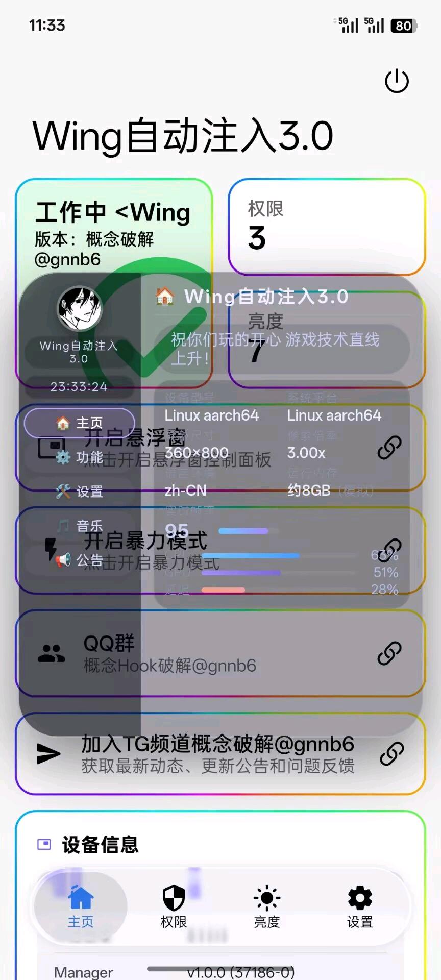 Wing自动注入v3 图3