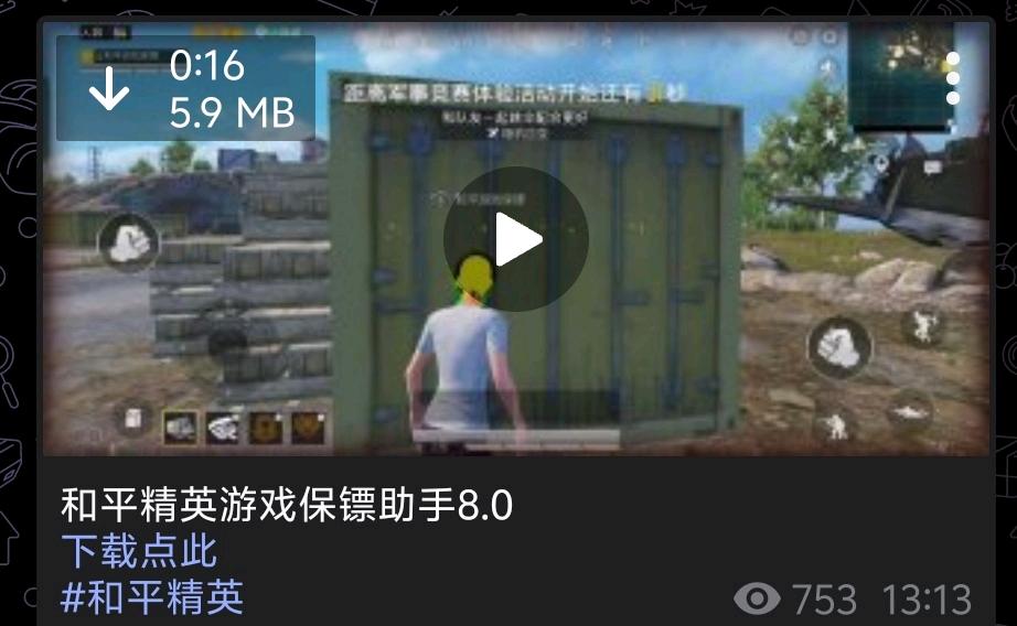 和平精英游戏保镖助手8.0公益