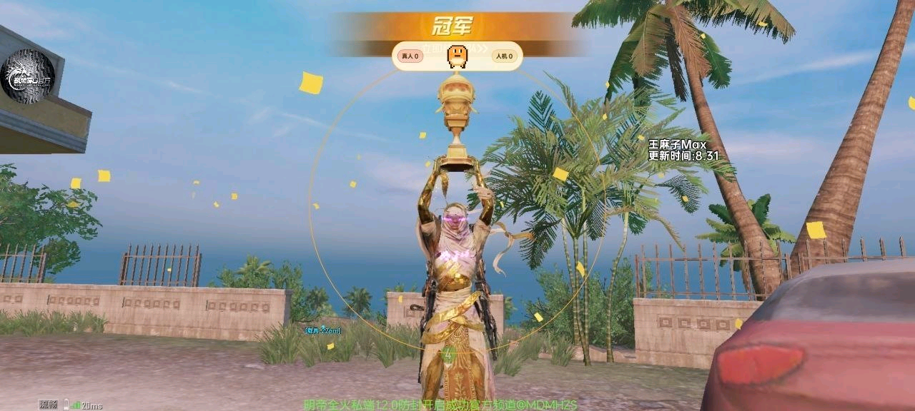 和平精英王麻子直装12.0