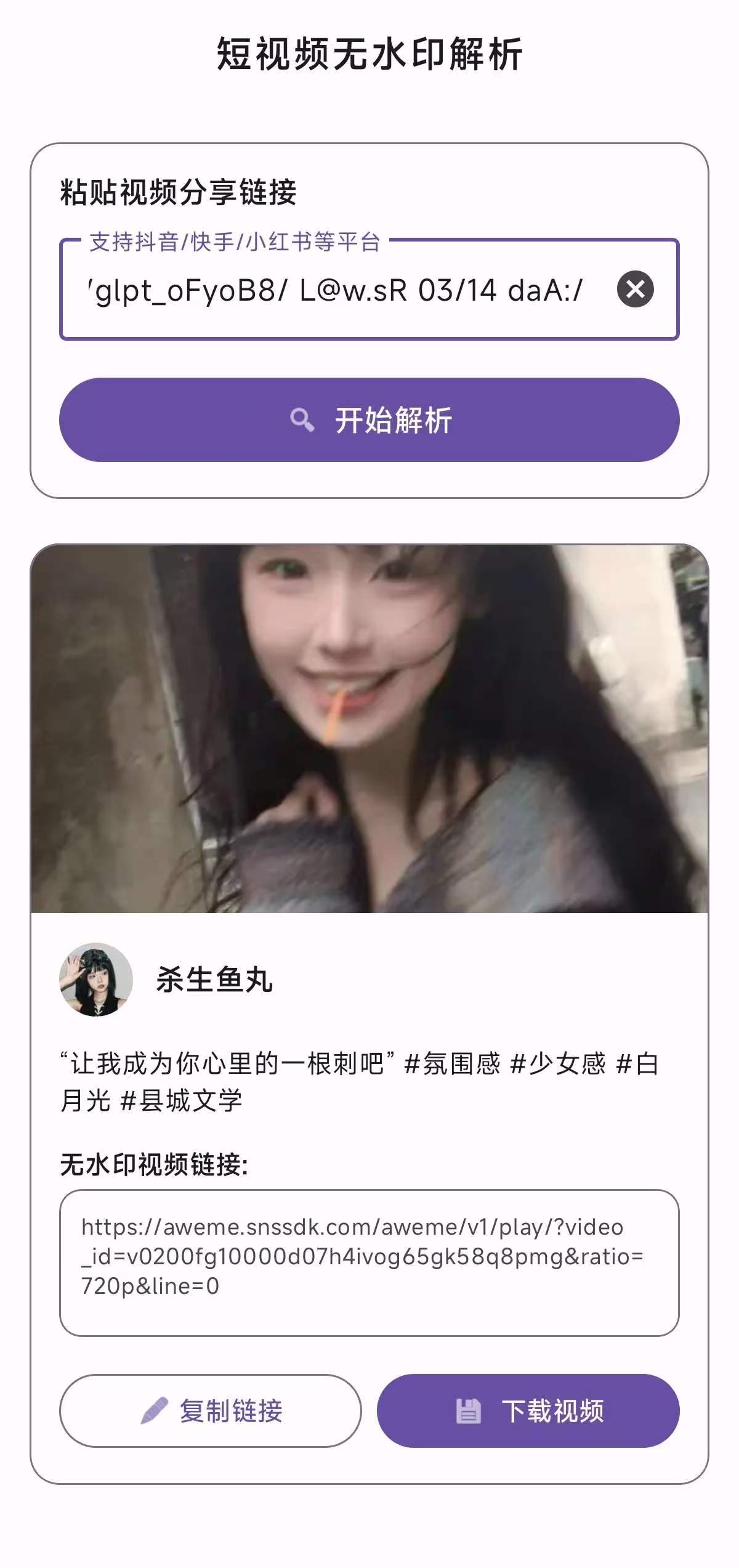 视频解析抖音快手小红书 无水印视频解析 图2