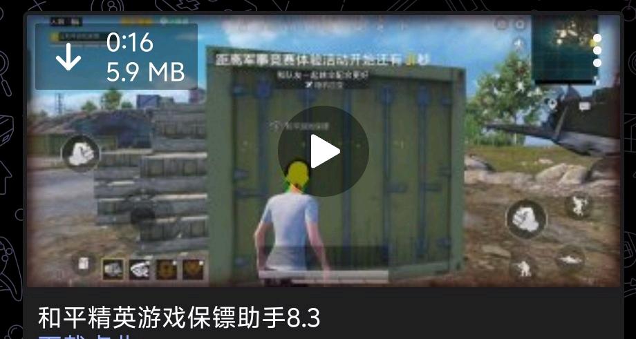 和平精英游戏保镖助手8.3 图1